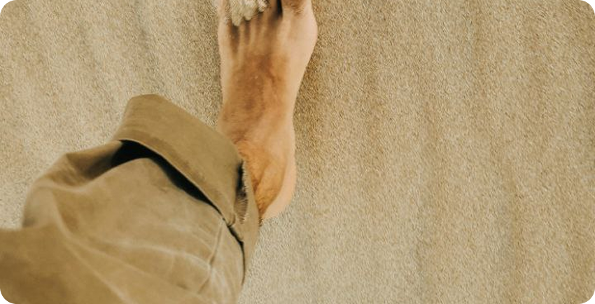 Nilkreuzfahrt Erfahrungen: Alles was du wissen musst (2026)