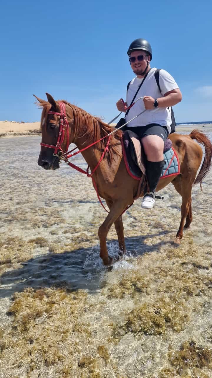 Pferdeausritt in Hurghada