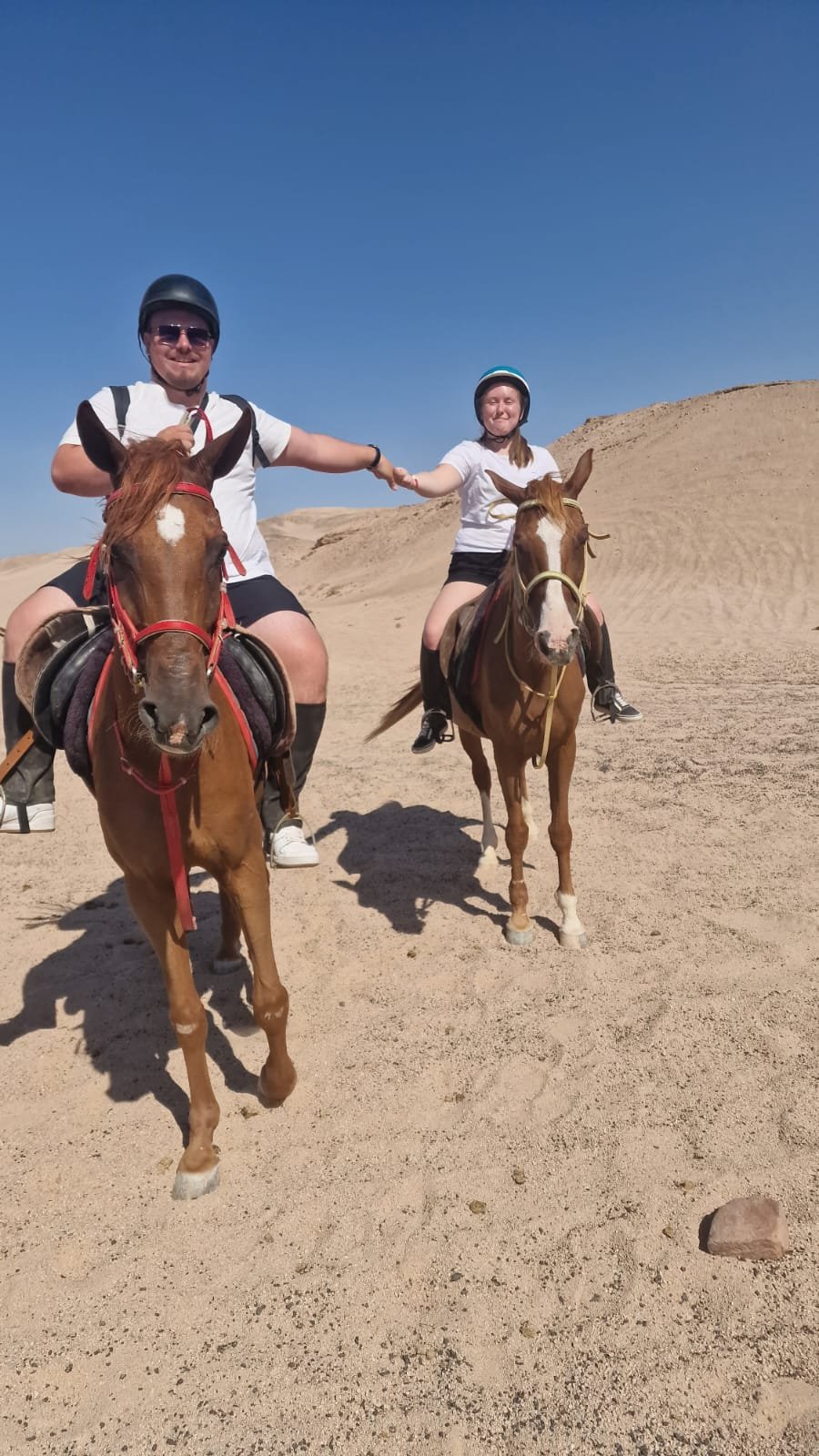 Pferdeausritt in Hurghada