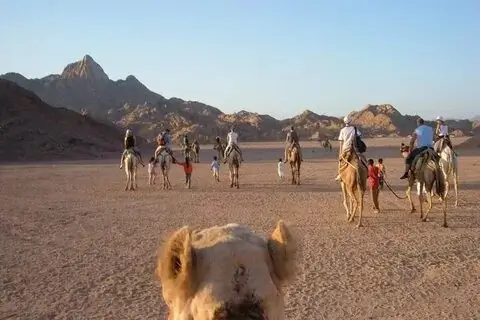 Hurghada Desert Safari by Jeep 4x4 + Camel