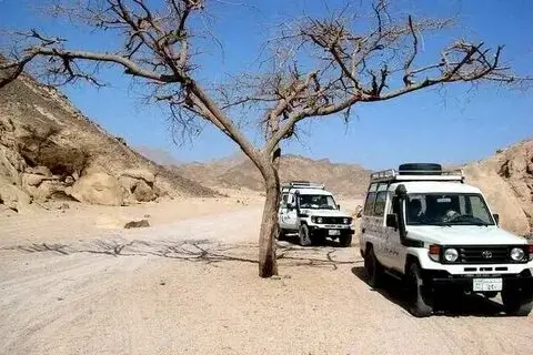 Familien-Jeep-Safari
