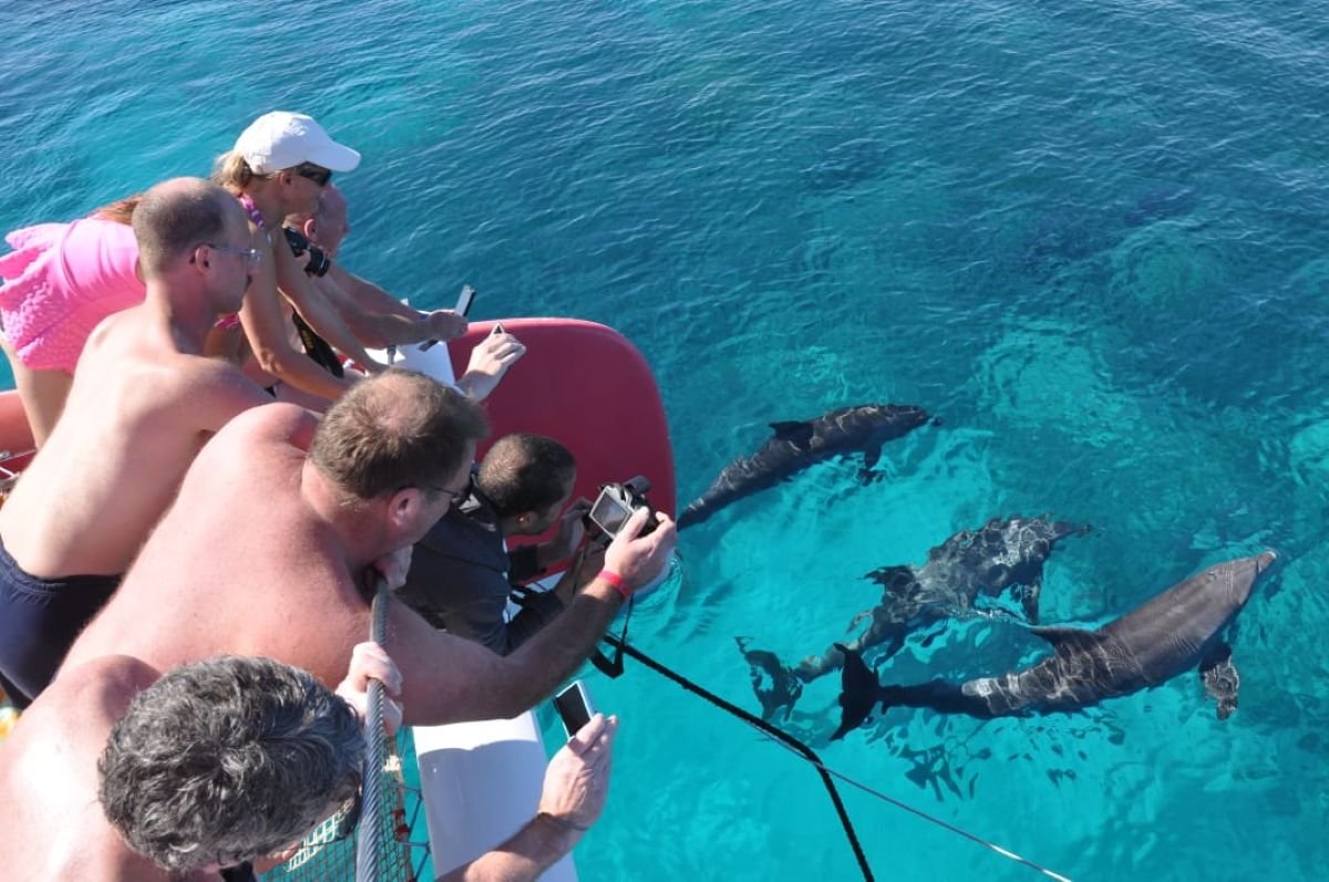 Catamaran Tour Hurghada – Luxury Trip with Snorkeling & Dolphin Watching