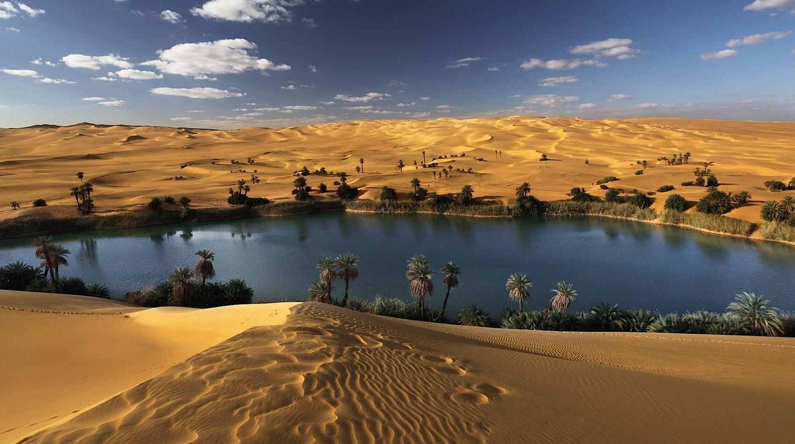 Bahariya Oasis and White Desert Adventure