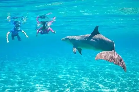 Delfin-Ausflug Hurghada – VIP Elite