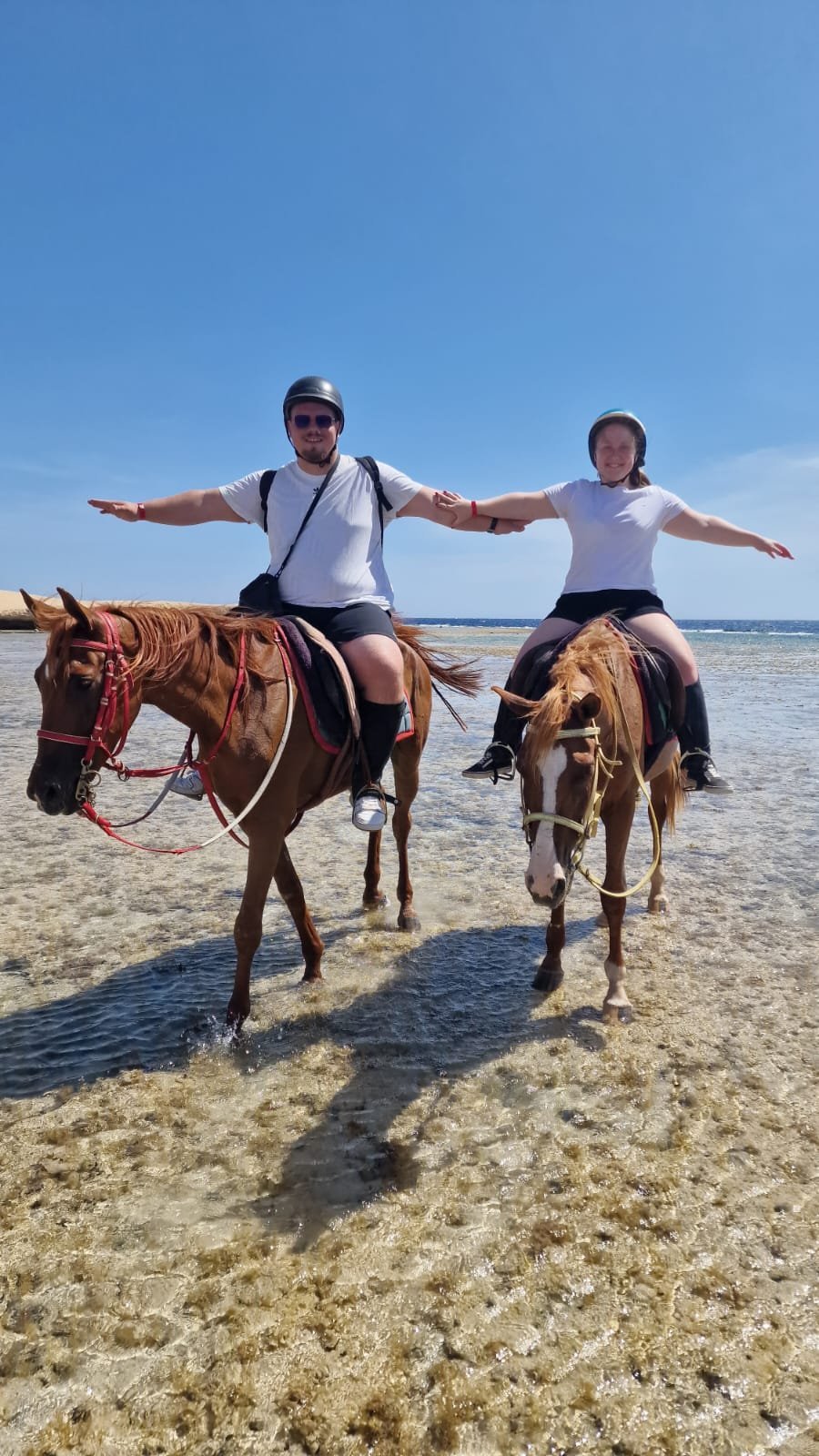 Reiten in Hurghada