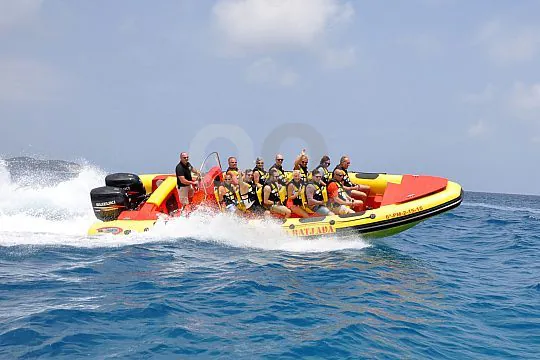 Privates Speedboot zum Delfinhaus
