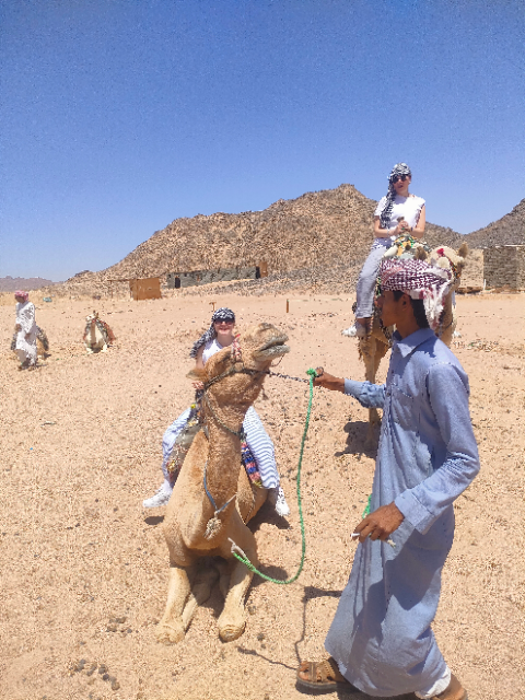 Hurghada Desert Safari by Jeep 4x4 + Camel