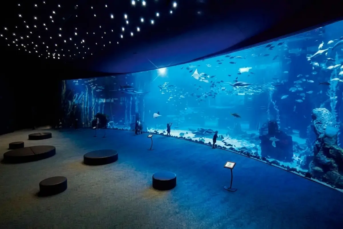Familie im Unterwassertunnel des Hurghada Grand Aquarium
