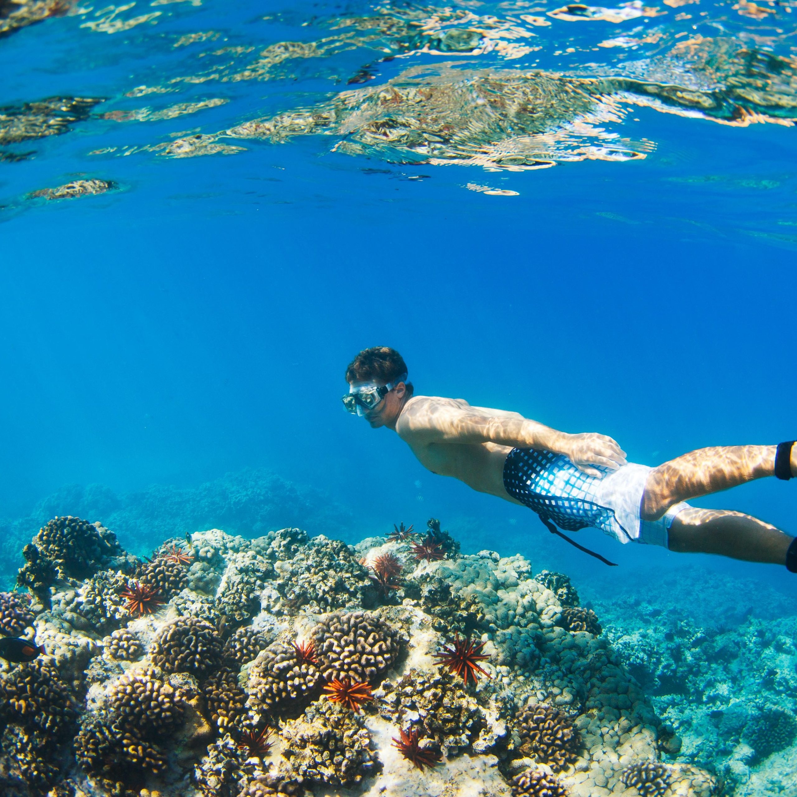 Ägypten Reiseangebote: Urlaub, Wetter und Top-Ausflüge