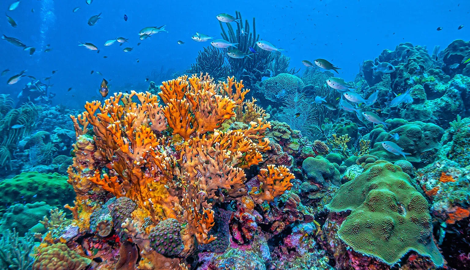 Türkisblaues Wasser und Strandgefühl am Roten Meer