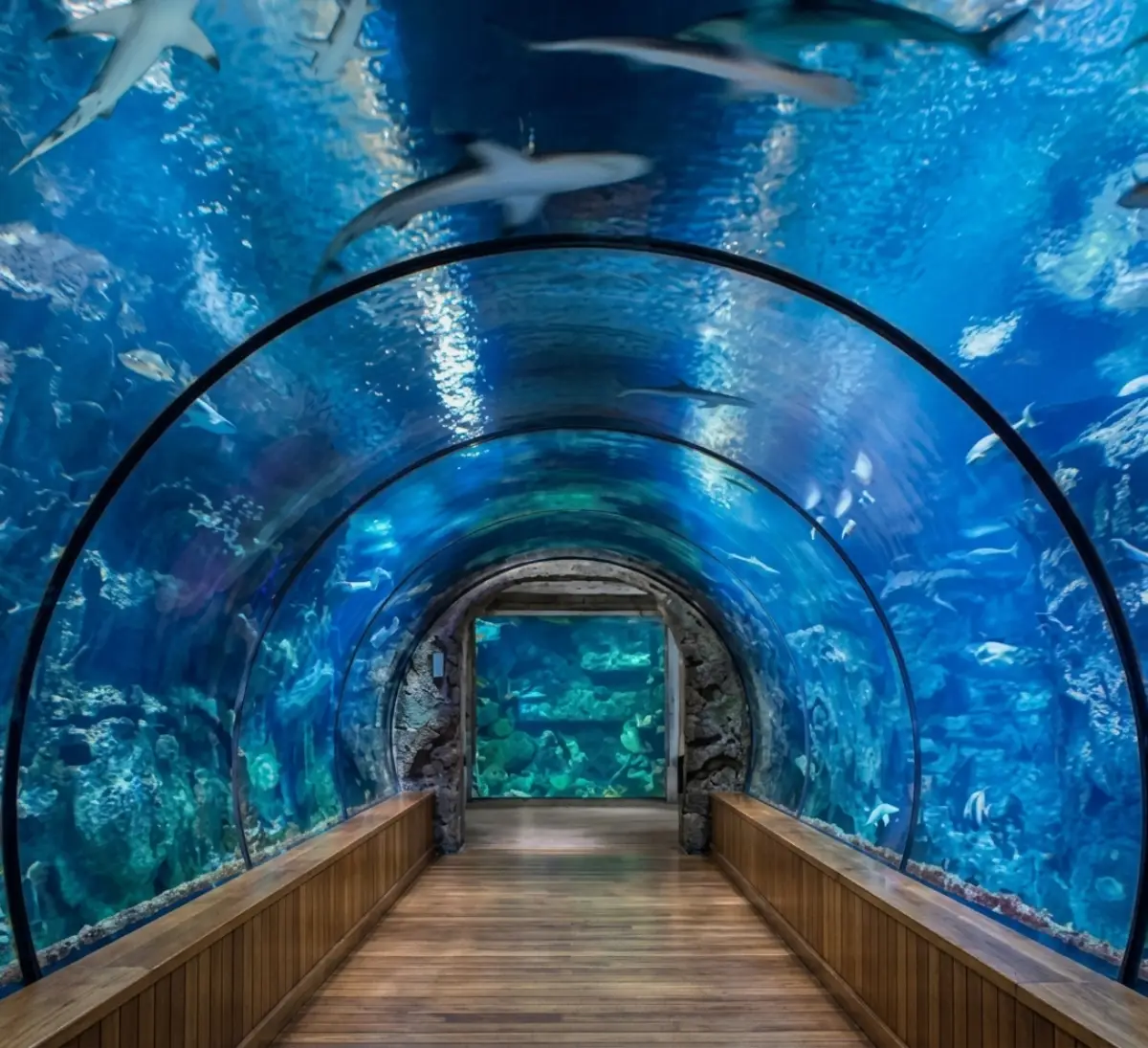 Haie schwimmen &uuml;ber Besuchern im Unterwassertunnel des Hurghada Grand Aquarium