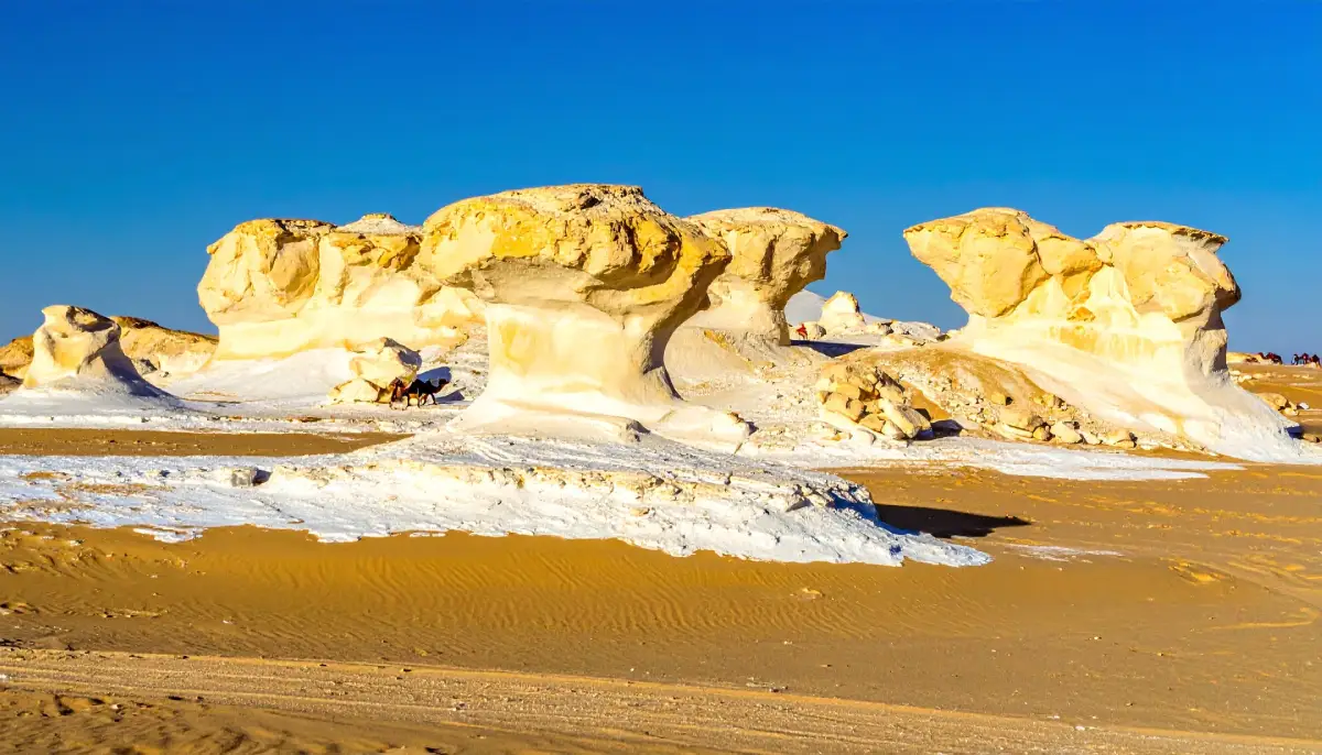 Bahariya-Oase und Weiße Wüste Abenteuer