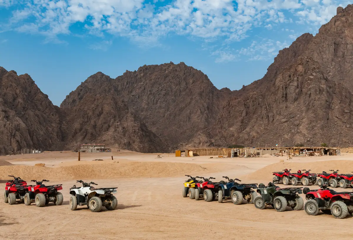 Wüstensafari Hurghada - WhatsApp-Buchung im Preisvergleich