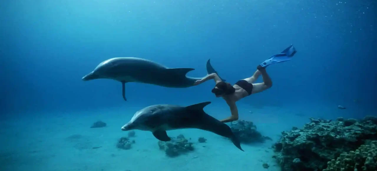 Snorkeling