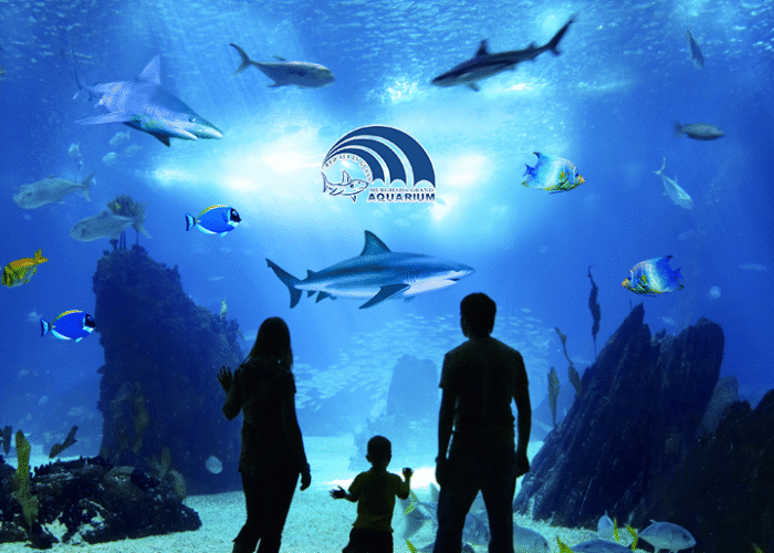 Hurghada Grand Aquarium