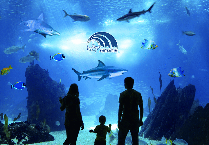 Hurghada Grand Aquarium