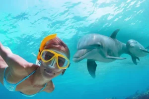 private snorkeling tour hurghada