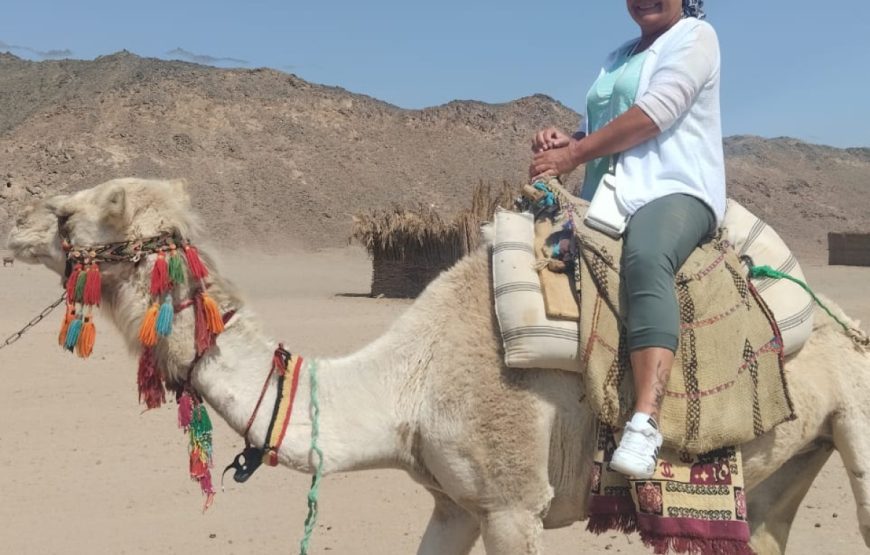 MEGA Safari  Hurghada mit dem Quad