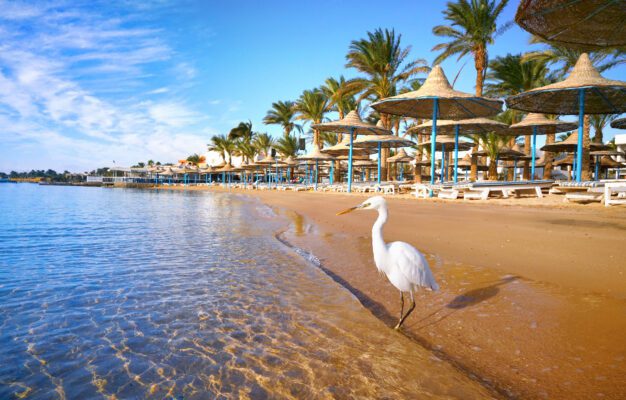 Ausflüge in Marsa Alam