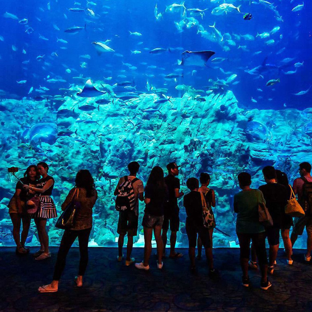 Hurghada Grand Aquarium