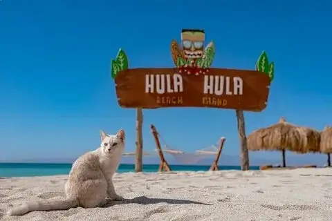 Hula Hula Island Excursion in Hurghada 3