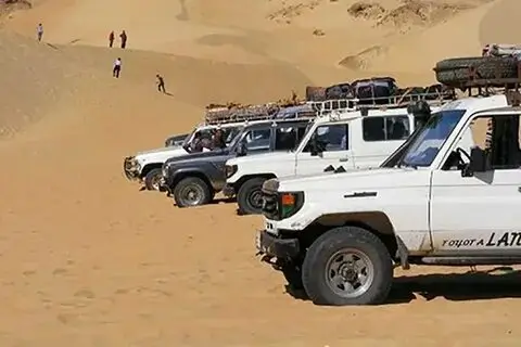 safari