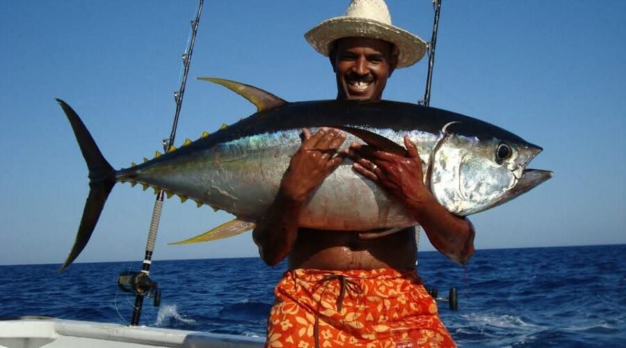 FB_IMG_1759262873736